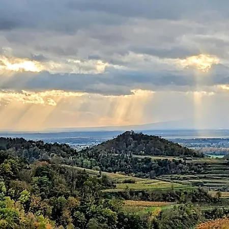 Angie Apartmán Vogtsburg