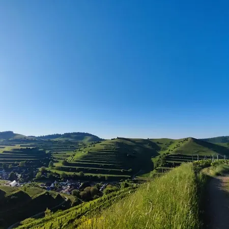 Angie Apartmán Vogtsburg